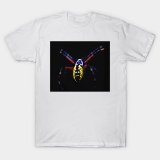 garden spider T-Shirt